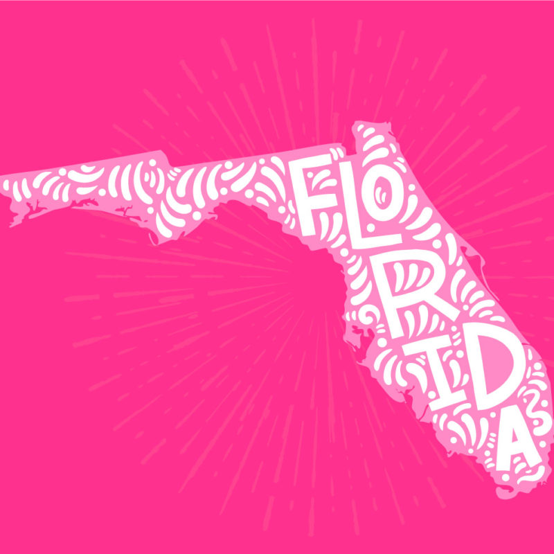 colorful vector art of florida