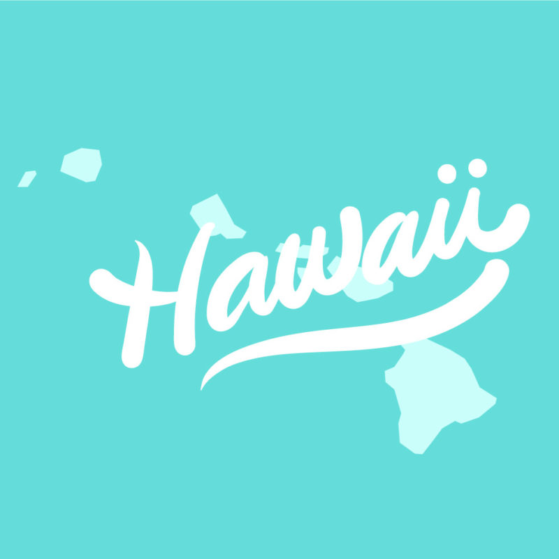 colorful vector art of hawaii