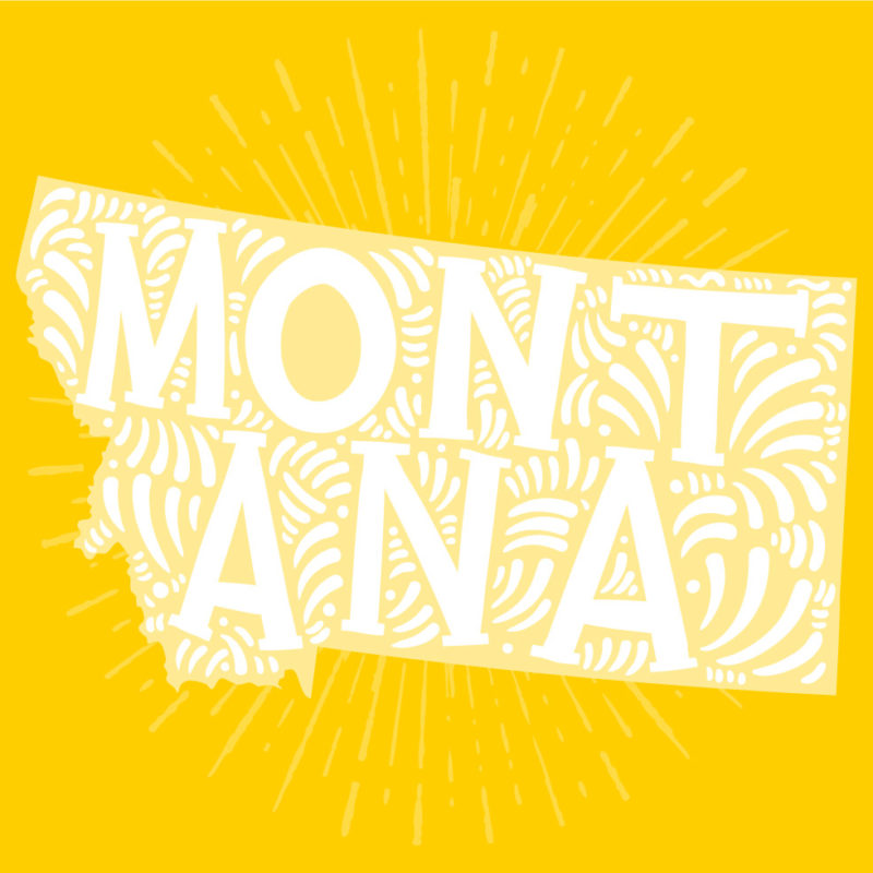 colorful vector art of montana